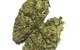 View full size image True OG